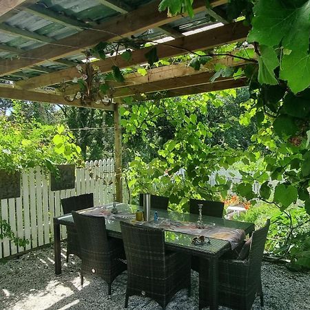 Pheasant Lodge Paparoa Ngoại thất bức ảnh